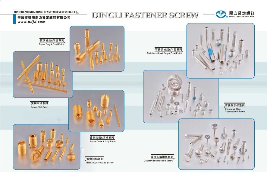 China Factory Nylon/Brass Tips Socket Set Screw