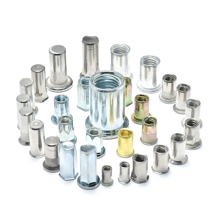 Reduced Csk Head Stainless Steel Rivet Blind Rivet Plain Body Closed End Rivet Nuts and Bolt