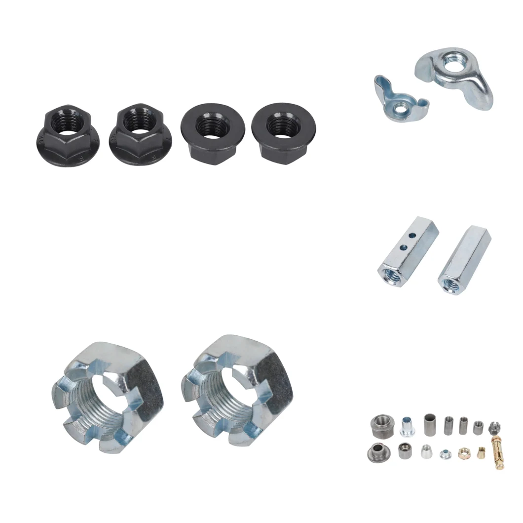 Hex Nuts DIN985/Flange Nut DIN6923/Hex Nut DIN934/ Thin Nut/ Square Nut DIN557/ Wing Nut DIN315/ Nylon Lock Nut/2h Nut/Tee Nut/Coupling Nut/Cap Nut